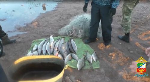 Скриншот кадра видео Абаканского ЛО МВД России